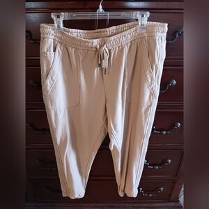EUC Athleta Farallon Joggers Size 14P